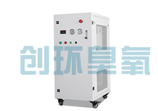 常州石斑鱼养殖水质调控完整指南：臭氧发生器配置与操作步骤