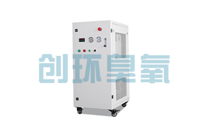 常州比传统换水更高效？臭氧发生器在石斑鱼养殖中的水质净化原理解析